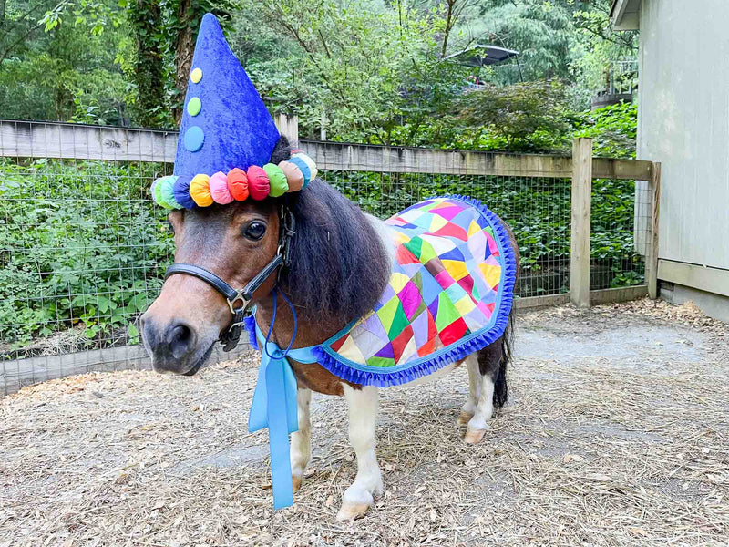 Party Wear