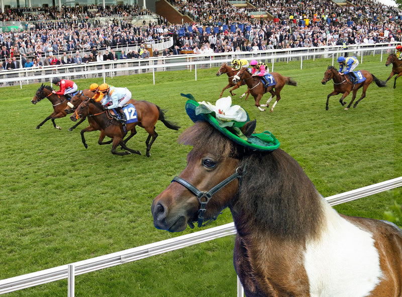 Derby Hats
