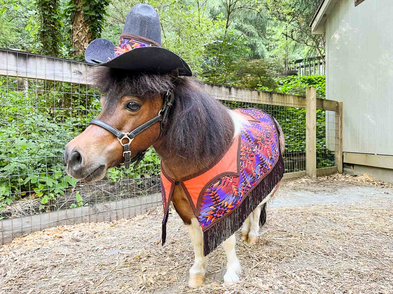 Fancy Cowboy Sets
