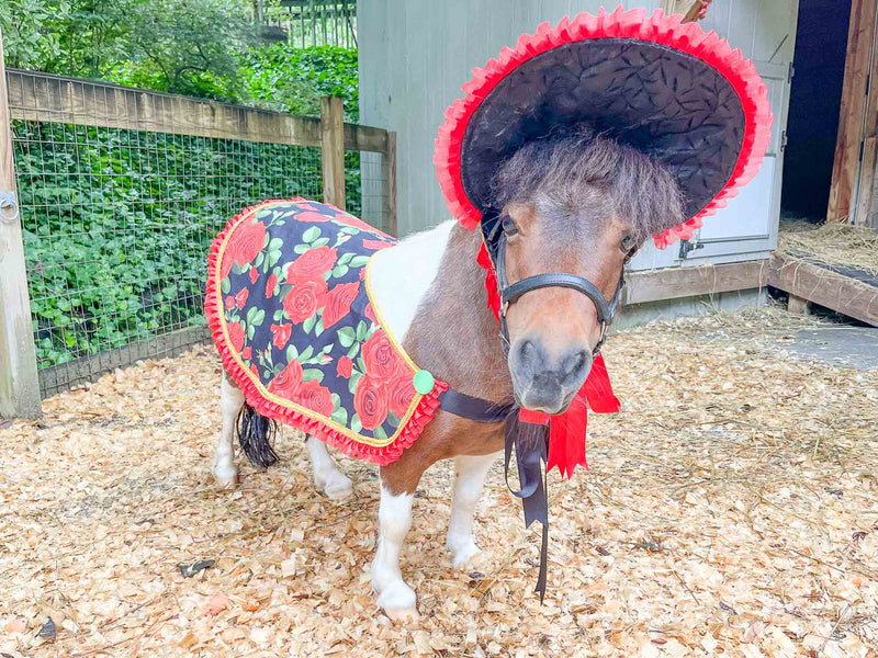 Hat, Shawl and Tail