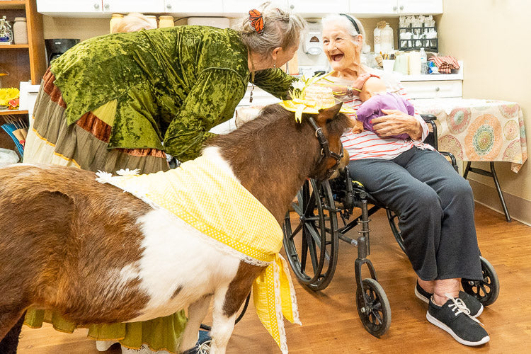 Mini Horse Therapy Visits