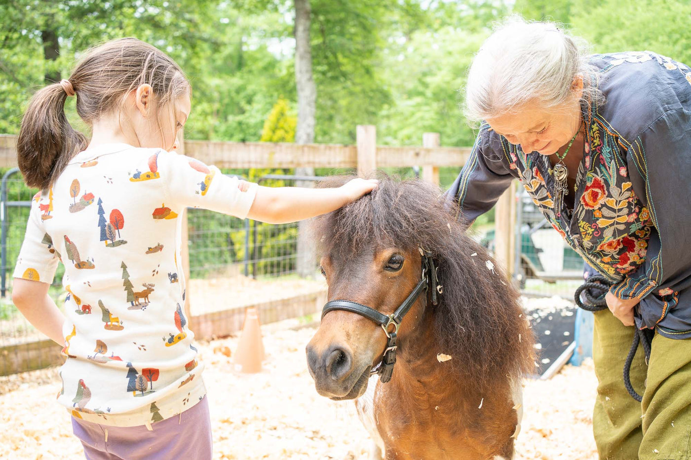 Equine-Informed Therapy for Autism and Neurodiversity