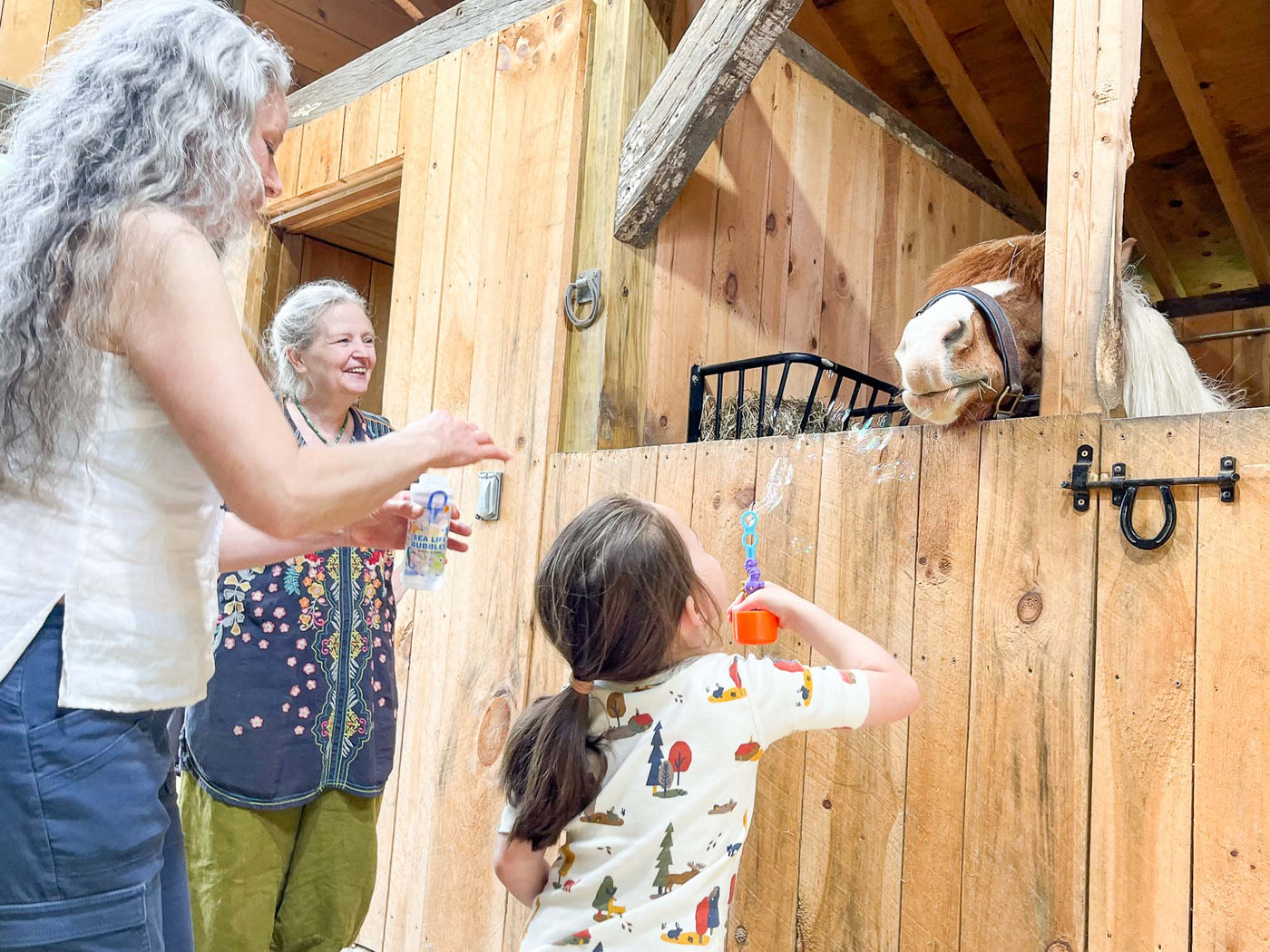 Equine-Informed Therapy for Autism and Neurodiversity