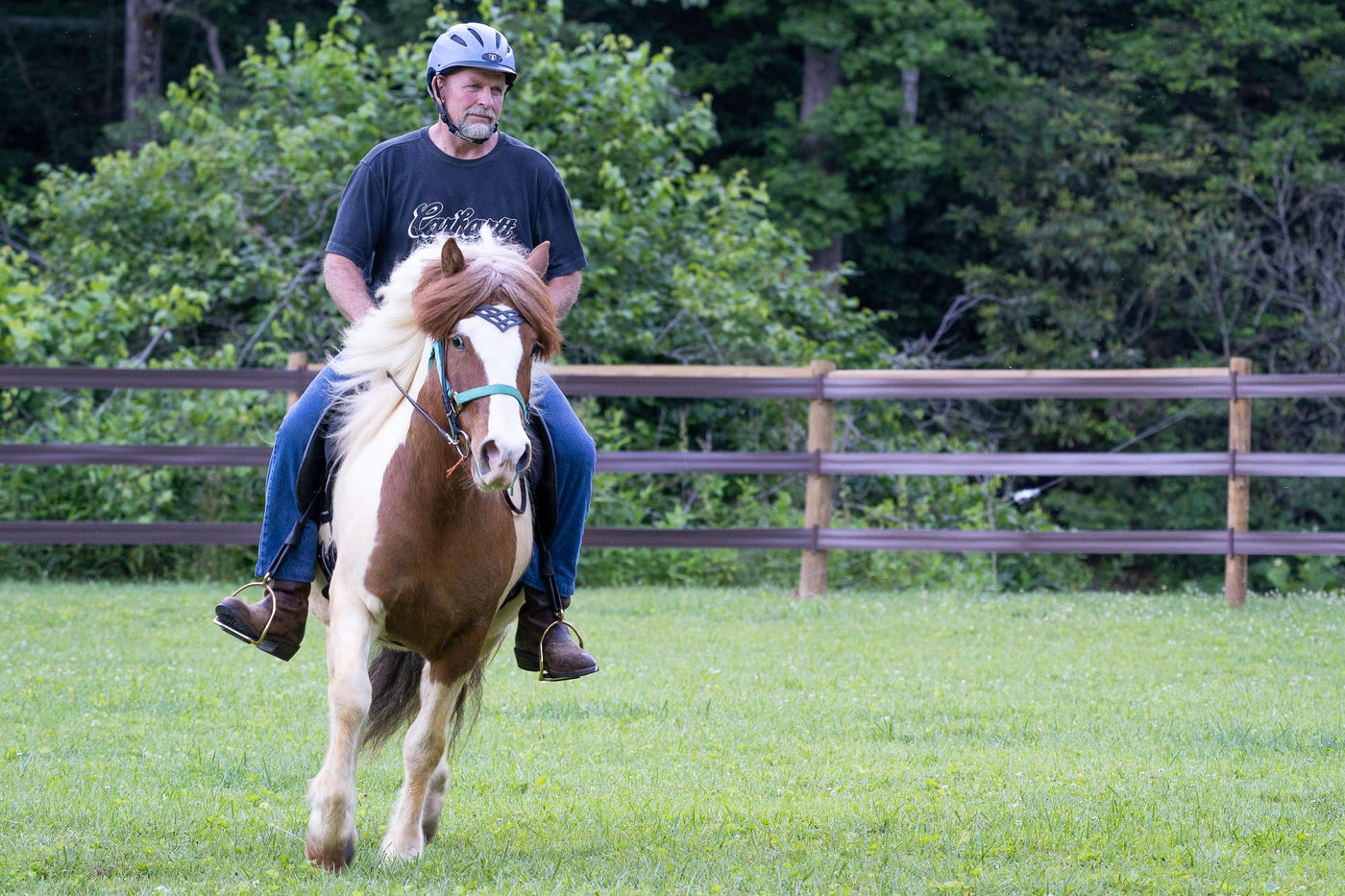 Why Horses?