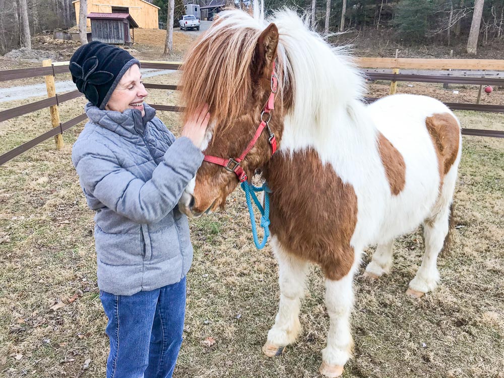 Why Horses?