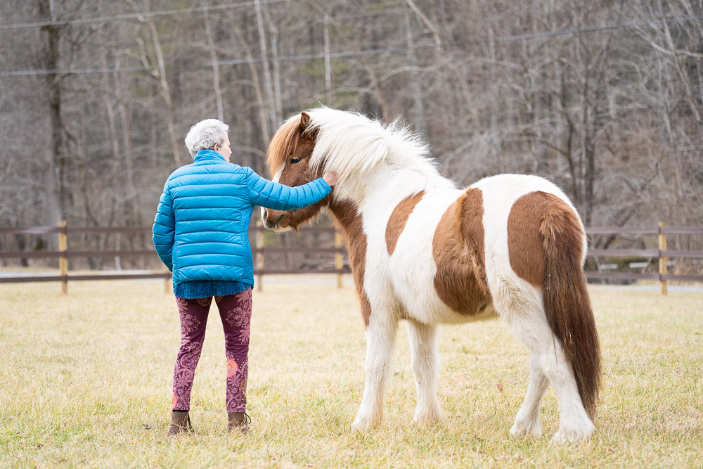 Why Horses?