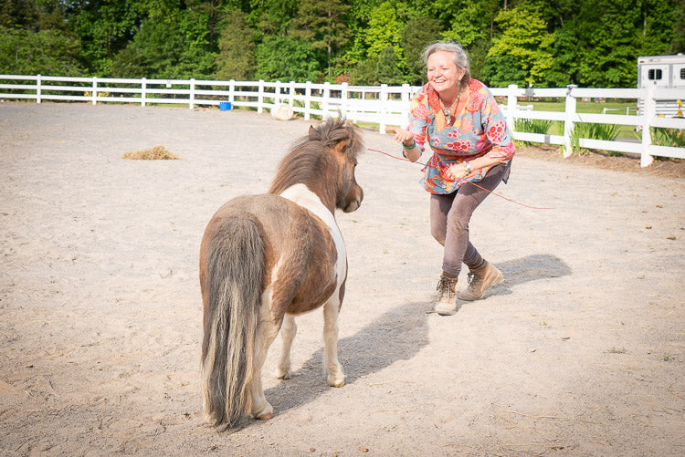 Equine-Informed Therapy