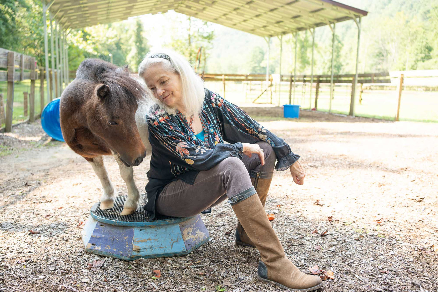 Equine-Informed Therapy for Autism and Neurodiversity