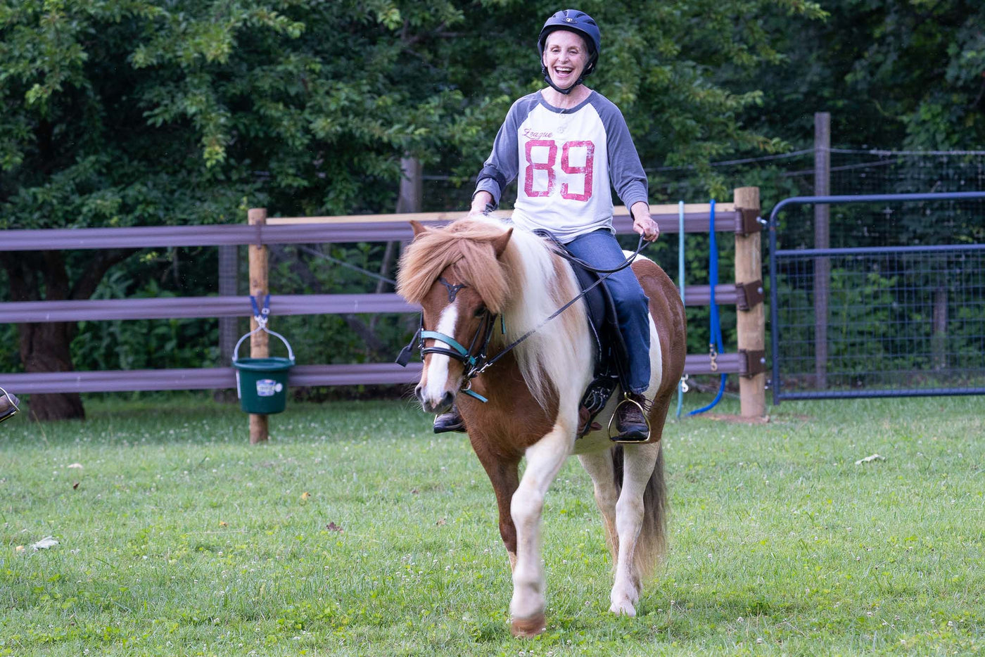 Why Horses?
