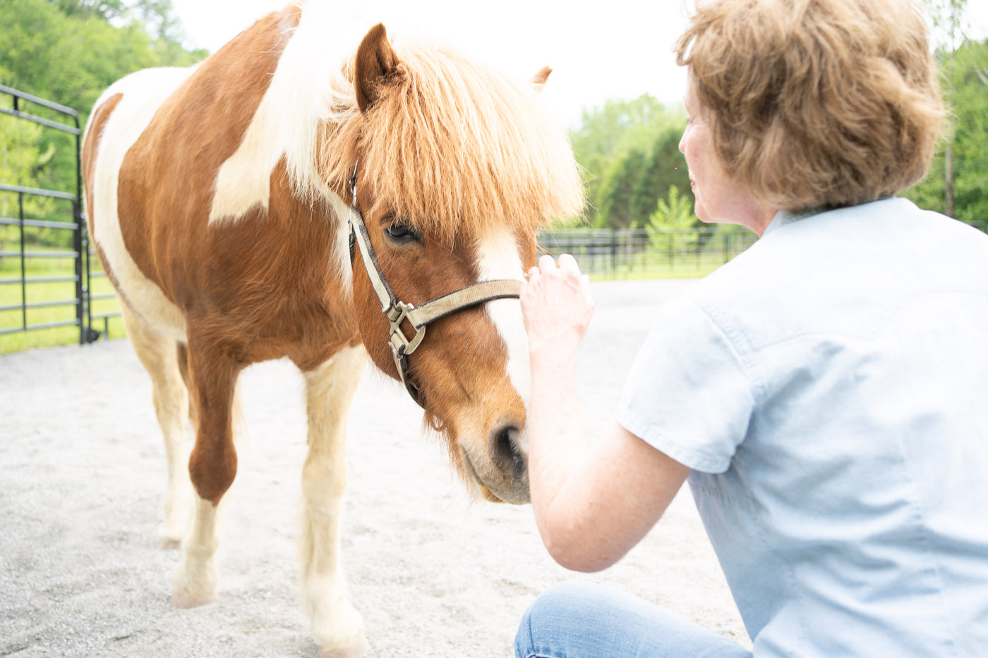 Equine-Informed Therapy for Autism and Neurodiversity