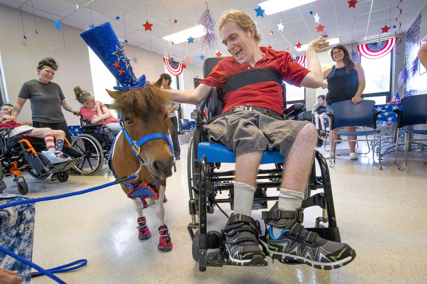 Mini Horse Therapy Visits