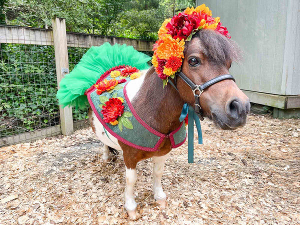 Wildfire Magic Meadow - Flower Fairy Costume for Miniature Horse