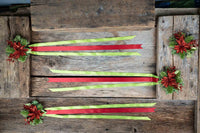Lime Green and Holiday Red Christmas - Set of Four Easy Clip Fascinators with ribbon