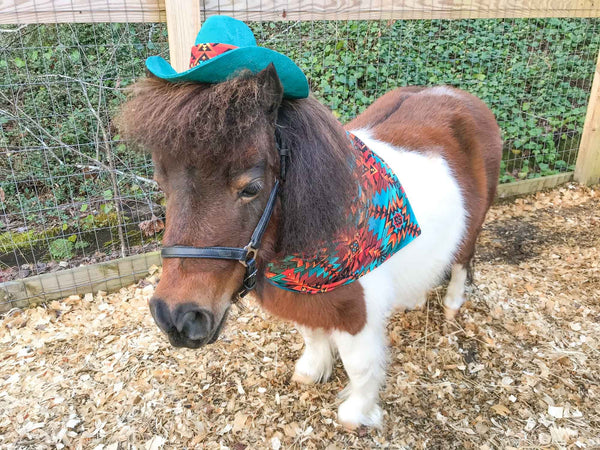 Teal and Copper Navajo - Cowboy Hat and Bandana for Mini Horse