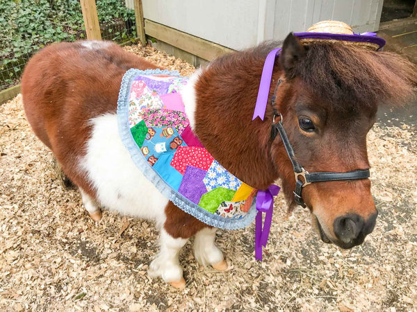 Patches and Pansies - Costume for Mini Horse