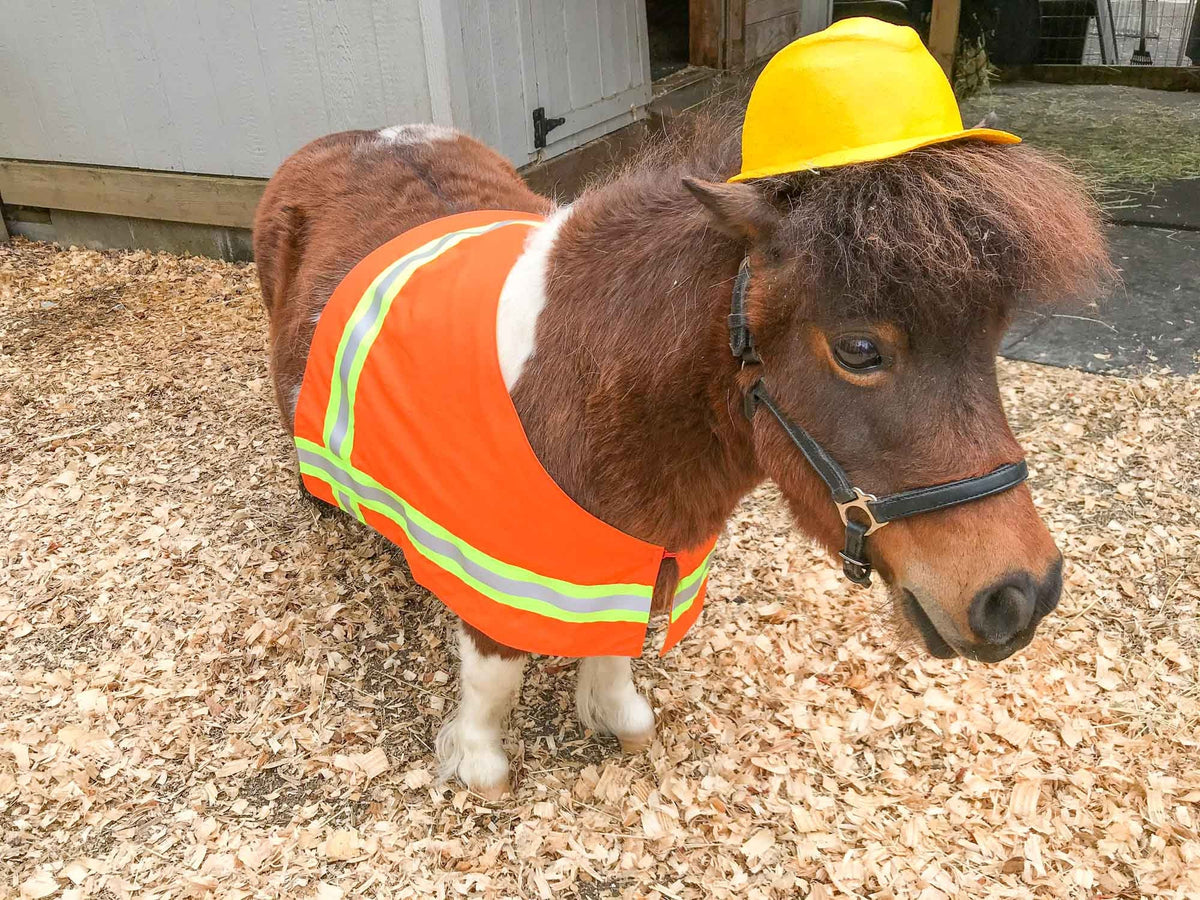 Construction Worker - Costume for Mini Horse with Construction Hat and High Visibility Work Vest