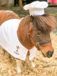 Farm to Table - Chef Costume for Mini Horse with Chef Hat and Jacket with Chef Insignia