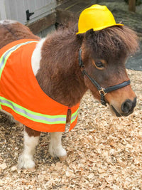 Construction Worker - Costume for Mini Horse with Construction Hat and High Visibility Work Vest