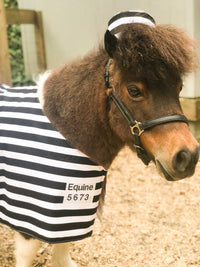 Maximum Mini-Security - Prisoner Costume for Mini Horse with Hat and Felon Jacket with ID Number