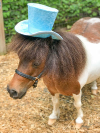 Aqua Frost - Top Hat for Miniature Horse