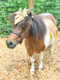 Sungold Glamour Horse - Costume for Miniature Horse