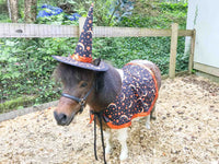 Witch of the Pumpkin Moon -  Witch Outfit with hat and cape for Mini Horse
