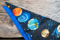 Space Cowboy - Cowboy Hat and Bandana for Mini Horse