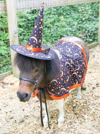 Witch of the Pumpkin Moon -  Witch Outfit with hat and cape for Mini Horse