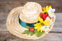 Gnome place like Gnome -  Straw Hat, Shawl and Tail Fascinator in Fairy Style for Miniature Horse