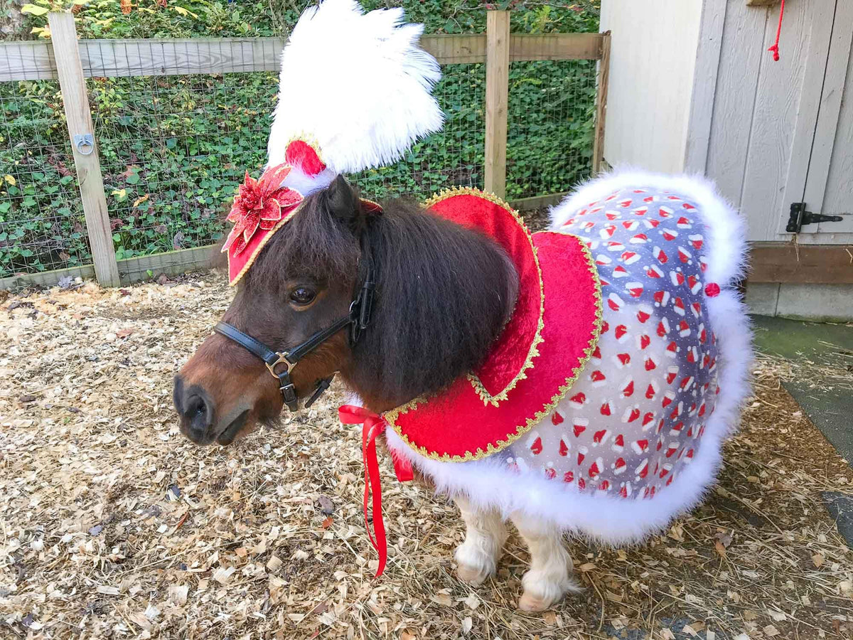 Rule Your Yule - Costume with Feathered Pointsettia Head Piece and Regal Christmas Cape for Mini Horse