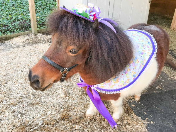 Up To Your Old Chicks -  Straw Hat, Shawl and Tail Fascinator in Spring Fair Style for Miniature Horse