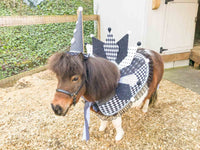 Harlequin Dream - Clown Hat, Harlequin Cowl, Saddle-Shirt and Tail Fascinator