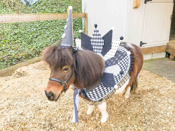 Harlequin Dream - Clown Hat, Harlequin Cowl, Saddle-Shirt and Tail Fascinator