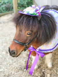 Up To Your Old Chicks -  Straw Hat, Shawl and Tail Fascinator in Spring Fair Style for Miniature Horse