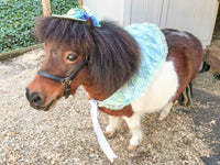 Wondrous Wabbit -  Straw Hat, Shawl and Tail Fascinator in Spring Fair Style for Miniature Horse