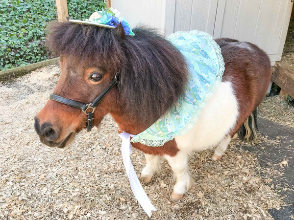 Wondrous Wabbit -  Straw Hat, Shawl and Tail Fascinator in Spring Fair Style for Miniature Horse