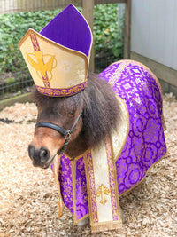 Prancing Pope - Religious Costume with Pontiff Hat and Vestment for Mini Horse