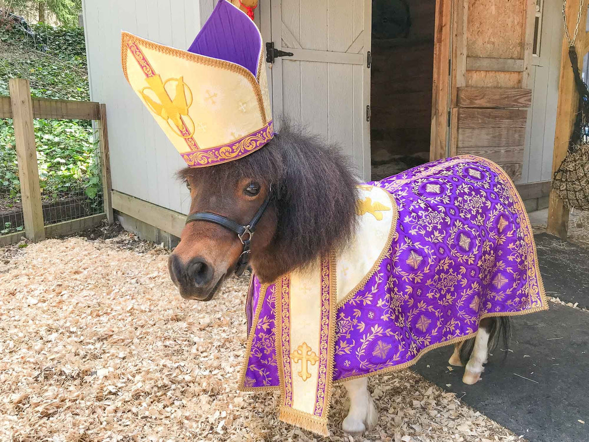 Prancing Pope - Religious Costume with Pontiff Hat and Vestment for Mini Horse
