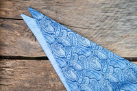 Periwinkle and Paisley - Cowboy Hat and Bandana for Mini Horse