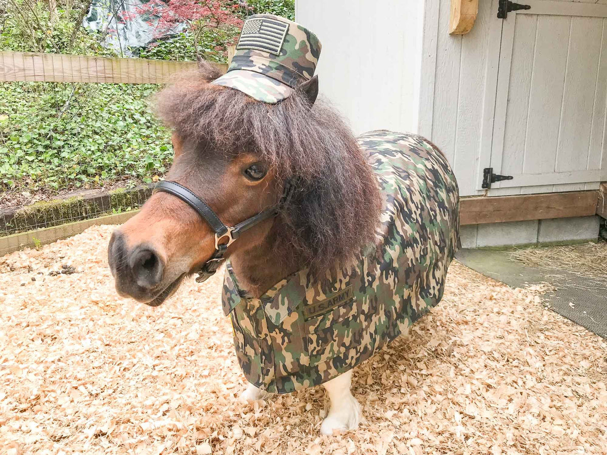 Special Forces Horses -  Army Costume for Mini Horse with Basic Training Cap and Camouflage Jacket