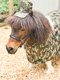 Special Forces Horses -  Army Costume for Mini Horse with Basic Training Cap and Camouflage Jacket