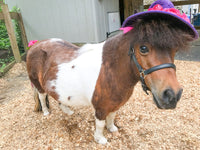 Floral Fireworks - Derby Hat and Tail Fascinator for Mini Horse
