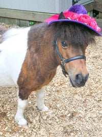Floral Fireworks - Derby Hat and Tail Fascinator for Mini Horse