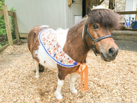 Beachcomber -  Straw Hat, Shawl and Tail Fascinator for Miniature Horse