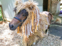 The Mini King -  Lion Costume for Mini Horse with Furry Mane and Tail