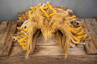 The Mini King -  Lion Costume for Mini Horse with Furry Mane and Tail