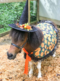 Midnight Harvest -  Witch Outfit with hat and cape for Mini Horse