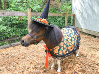 Midnight Harvest -  Witch Outfit with hat and cape for Mini Horse