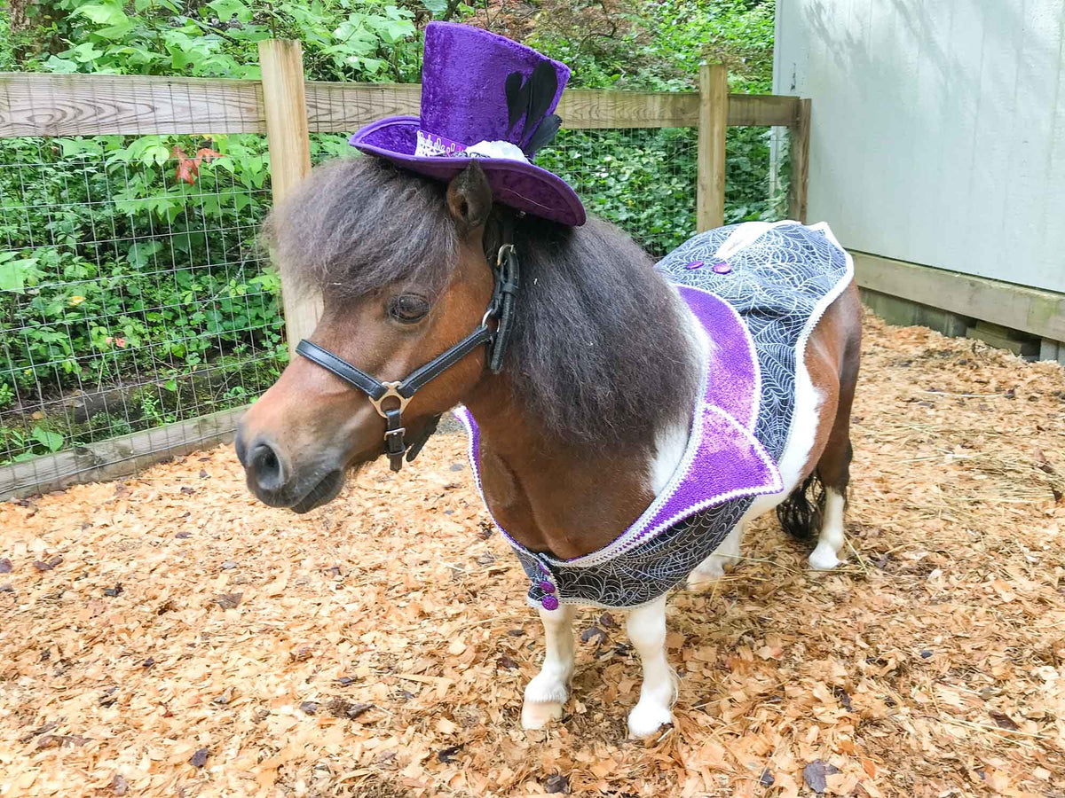 Cobweb Couture - Halloween Costume with Top Hat and Spooky Cobweb Jacket and Coattails.