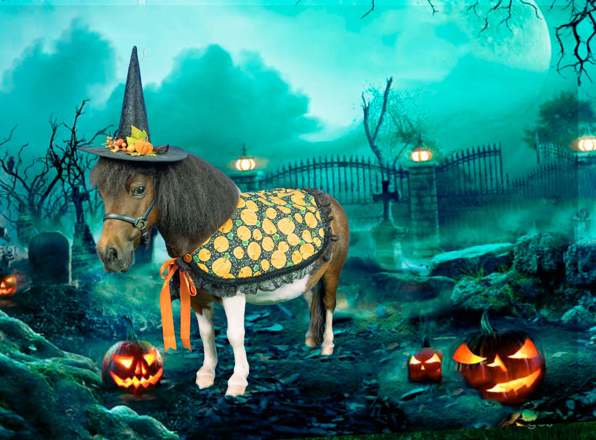 Midnight Harvest -  Witch Outfit with hat and cape for Mini Horse